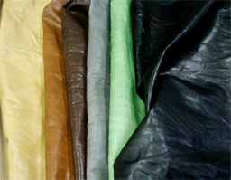 クリックして拡大