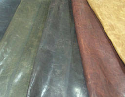 クリックして拡大