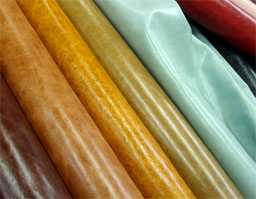 クリックして拡大