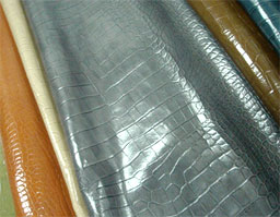 クリックして拡大