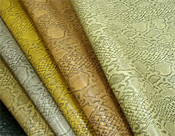 クリックして拡大