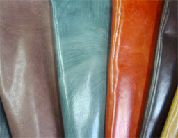 クリックして拡大