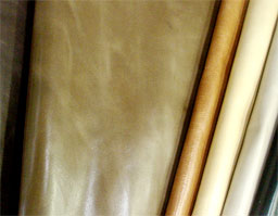 クリックして拡大