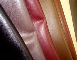 クリックして拡大