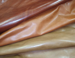 クリックして拡大