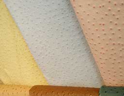 クリックして拡大