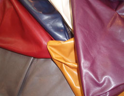 クリックして拡大