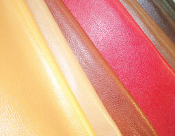 クリックして拡大