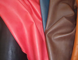 クリックして拡大