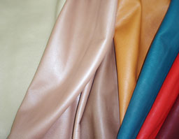 クリックして拡大